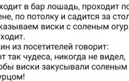 Тир лист Димы