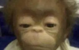 Big D's hot anime hunkos