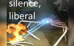 sanity of discord server