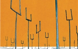 albums