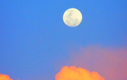 Where will they be in 10 years?