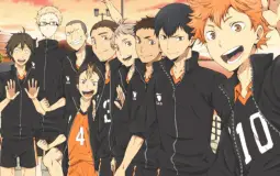 trying to figue out which are husbands and which are sides, haikyuu