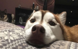 rating  kim’s taste