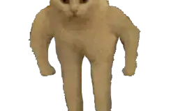 the numbers from 1 to 1000