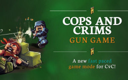 CVC Rank BoyRippen's Guild (Dr1ppens Opinion)