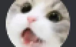 daphs discord