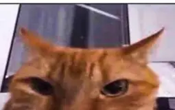 friend group beater-uppers