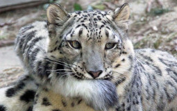 Best jeux de combat ever