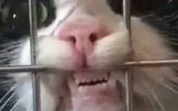 AHHHHHHHHHHHHHHHHHHHHHHHHHHHHHHHHHHHHHHHH