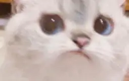 zupka chinska emoji tier list