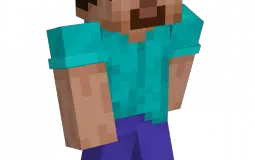 ranking minecraft skins