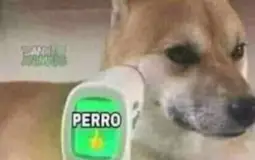 everything tier list