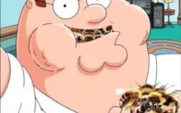 Animal Crossing Cats