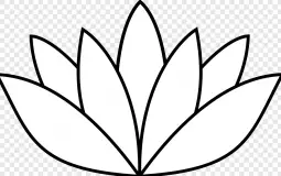 testt