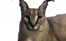Floppa Lore