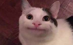 genshin impact characters