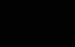 تقييم ابطال الشونين