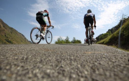 Une discipline de vélo = une marque