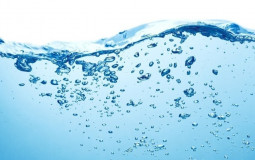 Water Brands