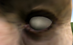 Тир лист канстрактов