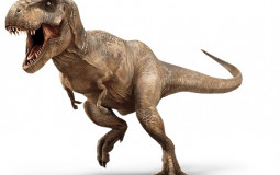 Dinos