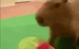 Redistributing the Wealth