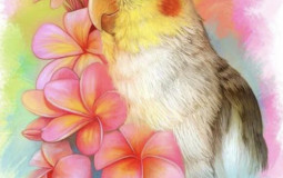 Who is the strongest character alive