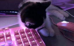 ножи валорант