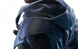 Rouge Company rouges