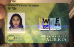 protein bars by how hot ceo is