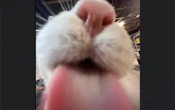 tier of overwatch players in the group