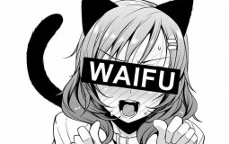 My Waifu List