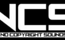 NCS artists I would beat in a fight