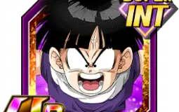 Dokkan Battle SBR Sup Int