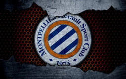 MHSC