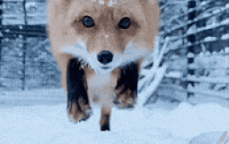 Fortnite Dynamic Clan