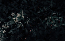 Best streamers/youtubers