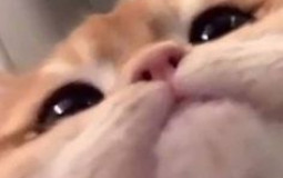 Member-member mental hospital