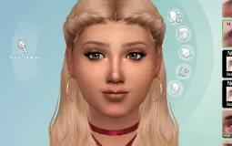 Sims Faces