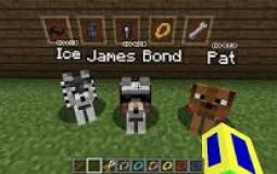 minecraft mods