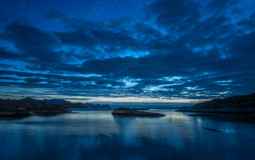 Bandas que eu gosto (e um ou outro artista)