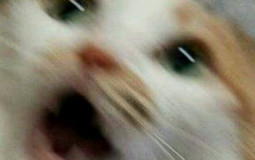 Virtual Reality Headsets Tier List (In My Opinion)