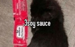 albums eps n singles