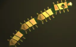 Upper deck crew in house of many doors