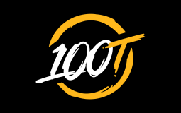 100 Thieves Staff
