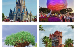 DISNEY WORLD attractions
