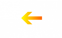 Tierlist filles de nd