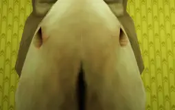 diary of kid monkey sussy