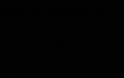 Animals that live on my neighbour’s land