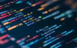Developer Language
